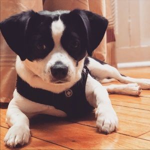 Meet your Posher, David